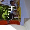 955. 02 dsc_0056